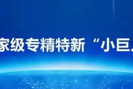我司榮獲國家級專精特新“小巨人”企業(yè)榮譽